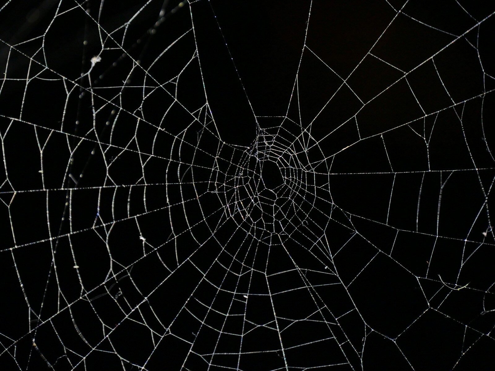 WordPress Crawl Budget Waste: The Technical SEO Problem That Silently Limits Your Rankings